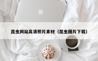 太原昆虫网站高清照片素材（昆虫图片下载）